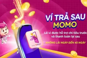 Ví trả sau momo là gì?